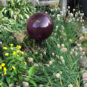 gazing ball purple