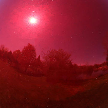 red glass gazing ball detail